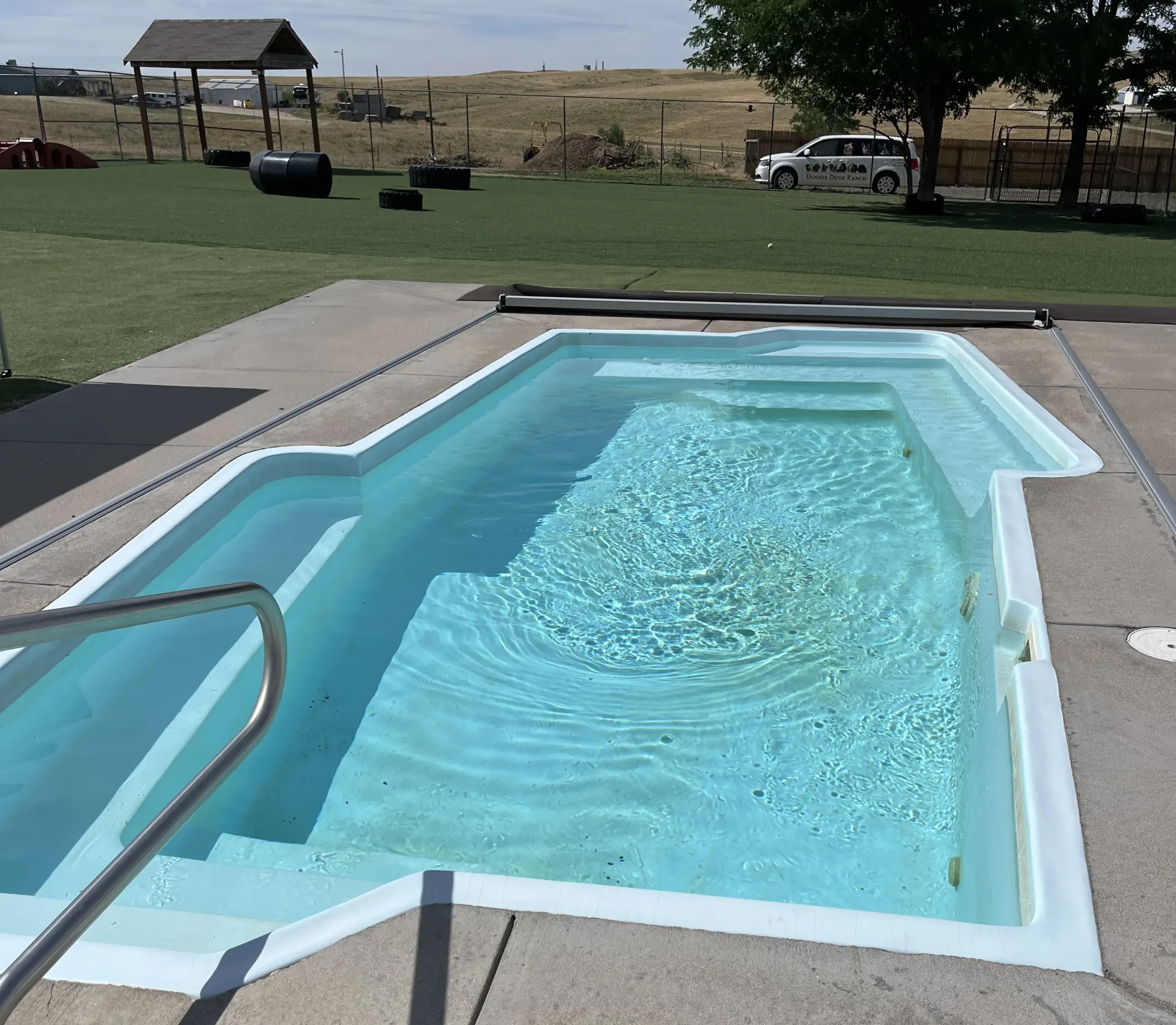 Doggie Dude Ranch's Dog Pool